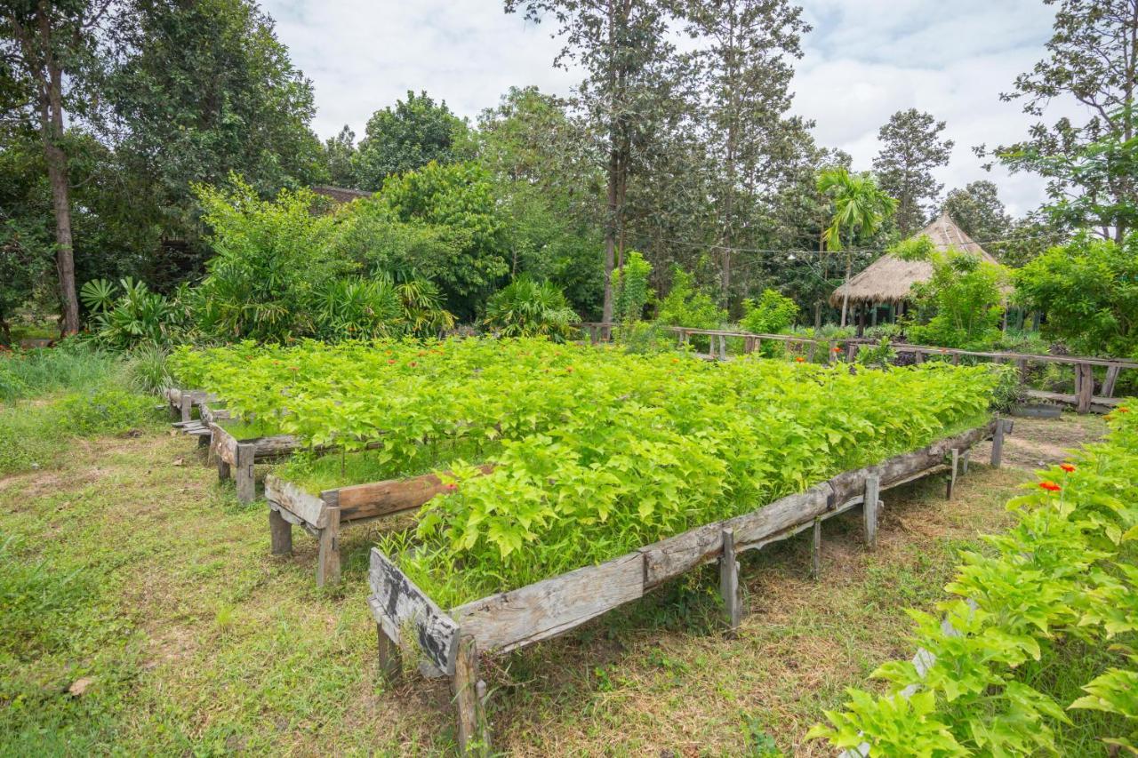 Bong Thom Forest Lodge Siem Reap Exterior photo